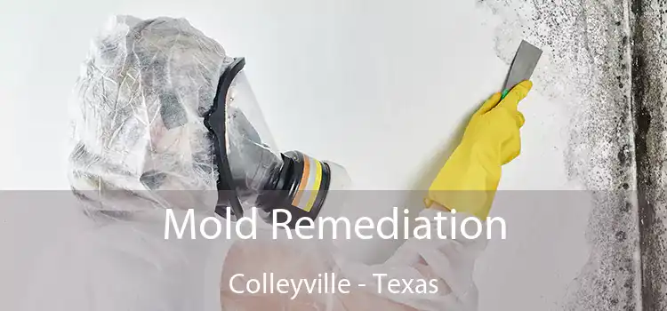 Mold Remediation Colleyville - Texas