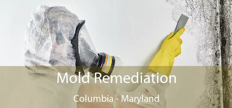 Mold Remediation Columbia - Maryland