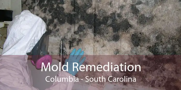 Mold Remediation Columbia - South Carolina