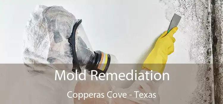 Mold Remediation Copperas Cove - Texas