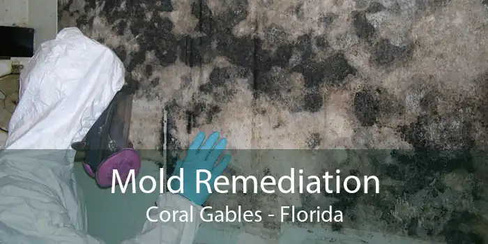 Mold Remediation Coral Gables - Florida