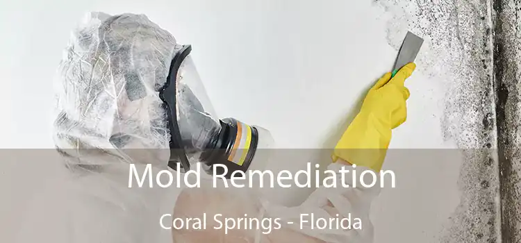 Mold Remediation Coral Springs - Florida