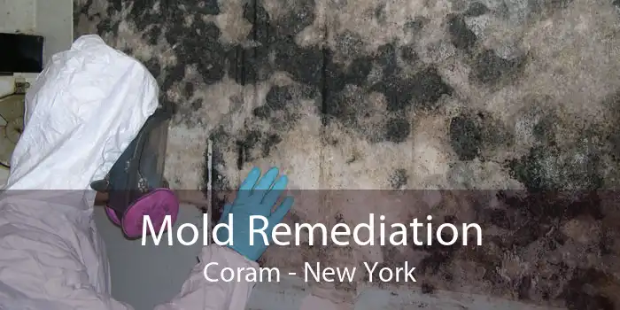 Mold Remediation Coram - New York
