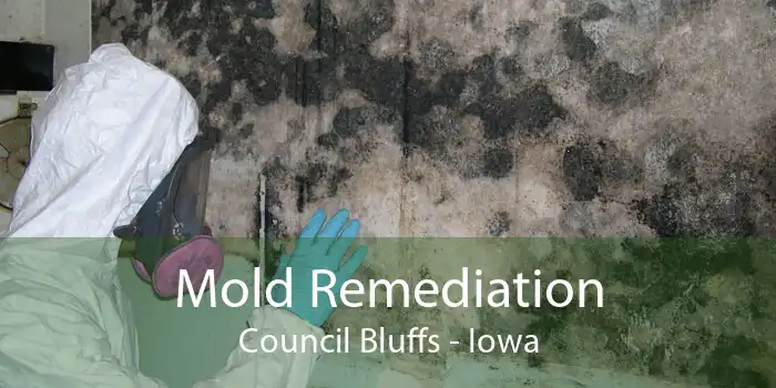Mold Remediation Council Bluffs - Iowa