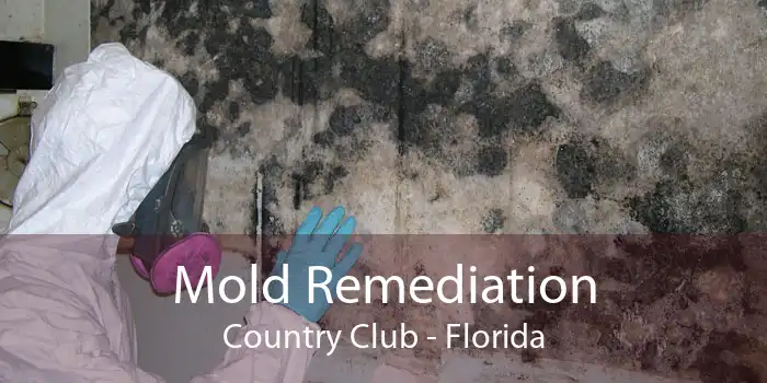 Mold Remediation Country Club - Florida