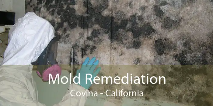 Mold Remediation Covina - California