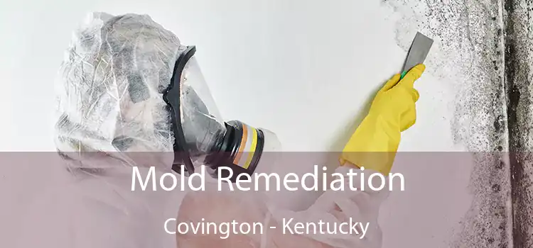 Mold Remediation Covington - Kentucky