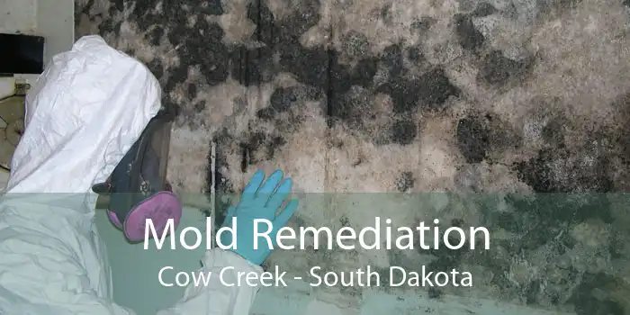 Mold Remediation Cow Creek - South Dakota