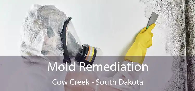 Mold Remediation Cow Creek - South Dakota