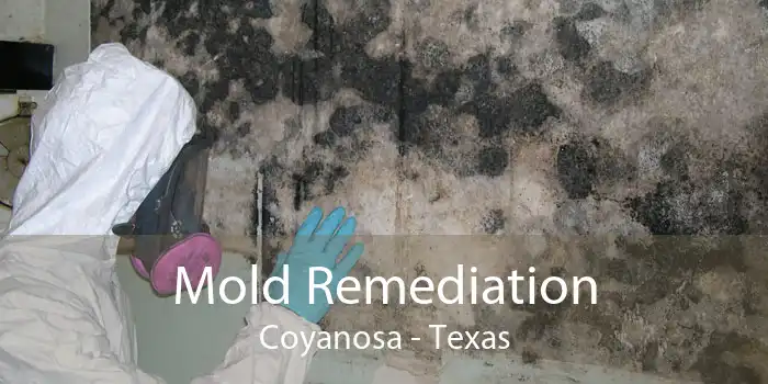 Mold Remediation Coyanosa - Texas