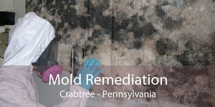Mold Remediation Crabtree - Pennsylvania