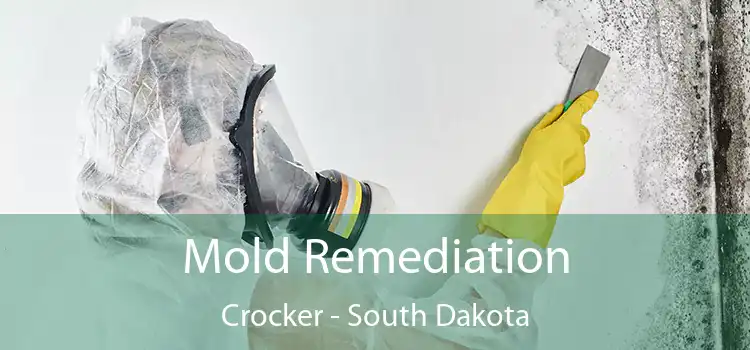 Mold Remediation Crocker - South Dakota