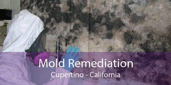 Mold Remediation Cupertino - California
