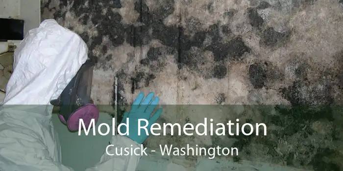 Mold Remediation Cusick - Washington