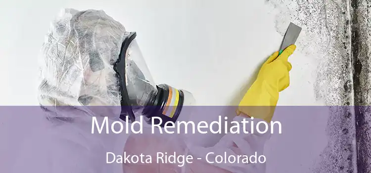 Mold Remediation Dakota Ridge - Colorado