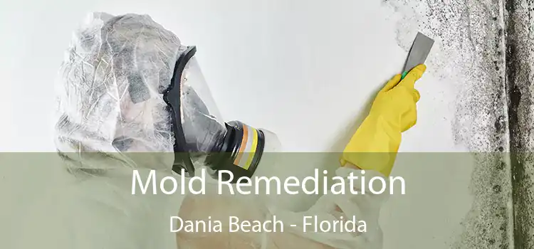 Mold Remediation Dania Beach - Florida