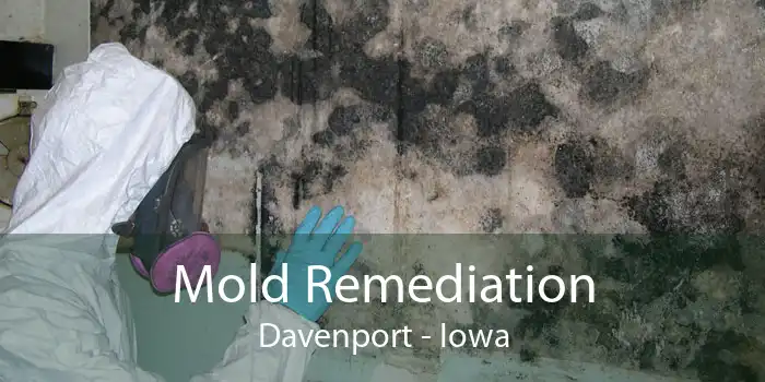 Mold Remediation Davenport - Iowa