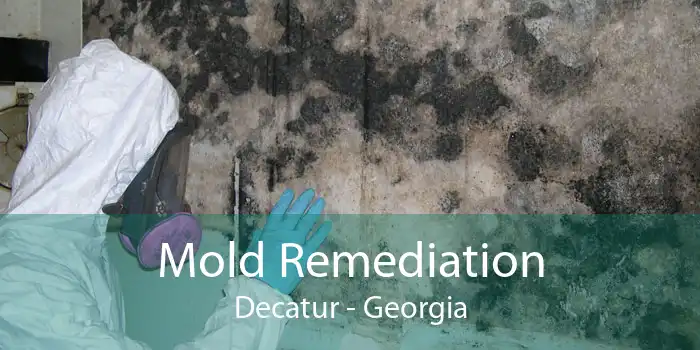 Mold Remediation Decatur - Georgia