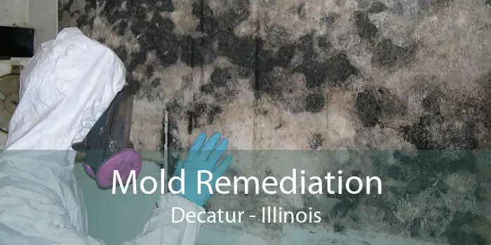 Mold Remediation Decatur - Illinois