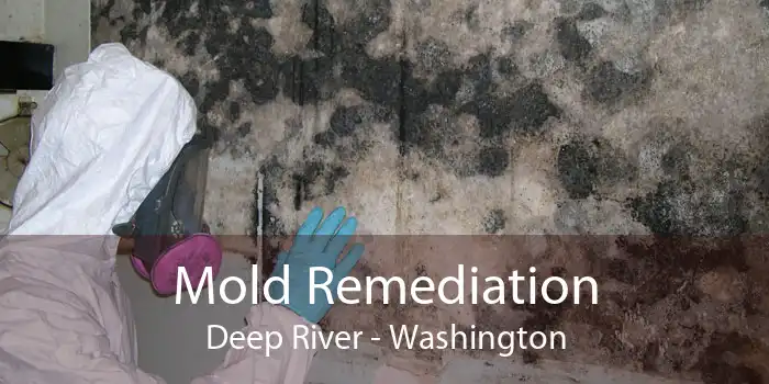 Mold Remediation Deep River - Washington