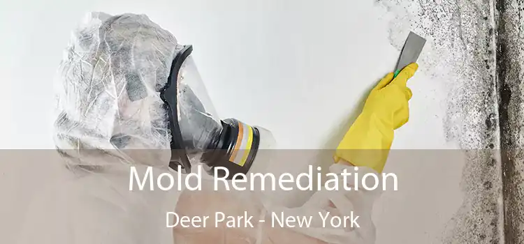 Mold Remediation Deer Park - New York