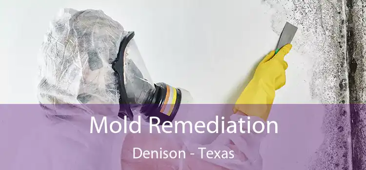 Mold Remediation Denison - Texas