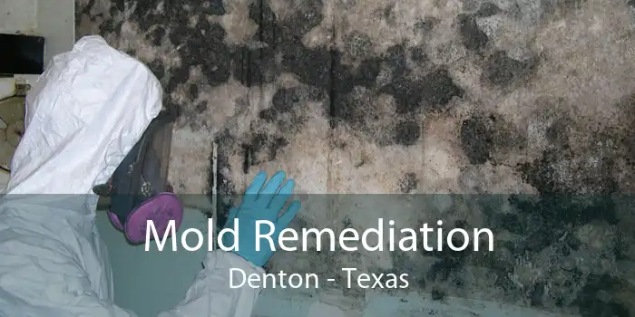 Mold Remediation Denton - Texas