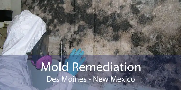Mold Remediation Des Moines - New Mexico
