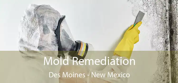 Mold Remediation Des Moines - New Mexico