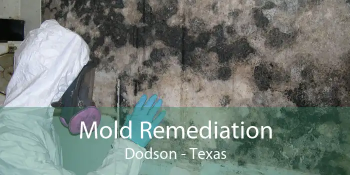 Mold Remediation Dodson - Texas