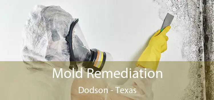 Mold Remediation Dodson - Texas