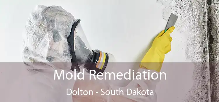 Mold Remediation Dolton - South Dakota