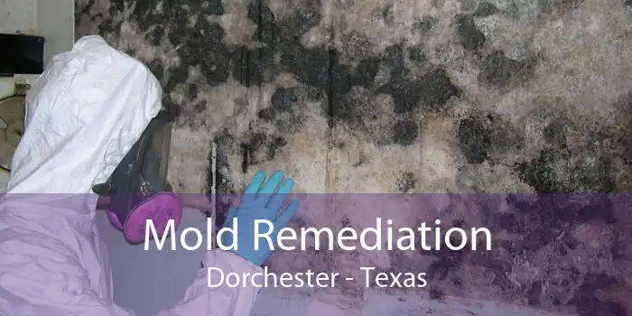 Mold Remediation Dorchester - Texas