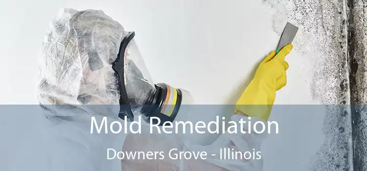 Mold Remediation Downers Grove - Illinois