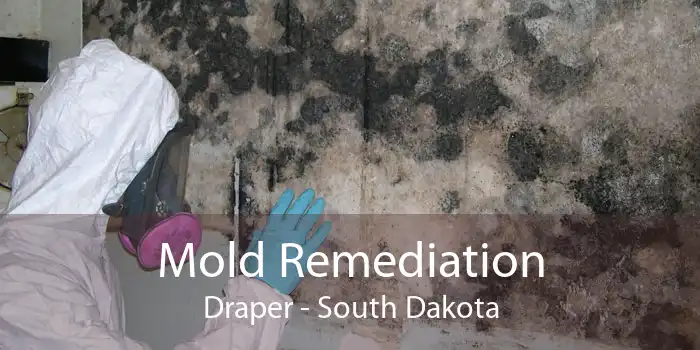 Mold Remediation Draper - South Dakota