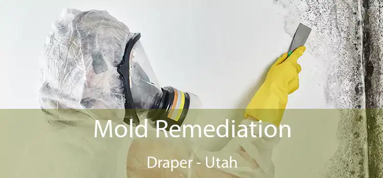 Mold Remediation Draper - Utah