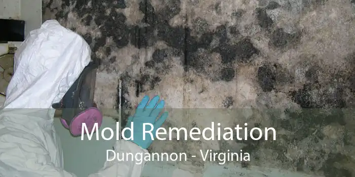 Mold Remediation Dungannon - Virginia