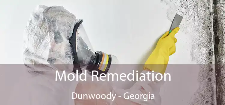 Mold Remediation Dunwoody - Georgia