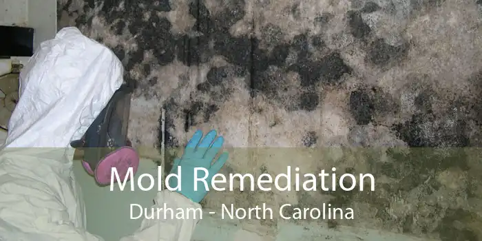 Mold Remediation Durham - North Carolina