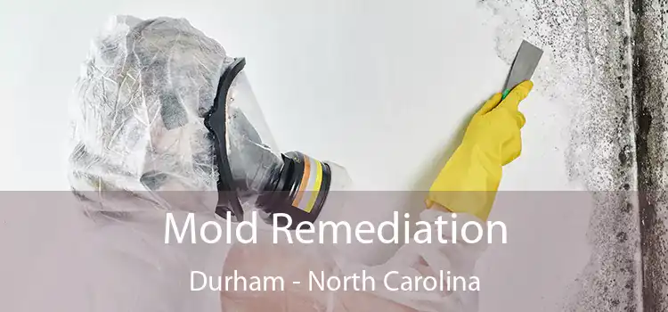 Mold Remediation Durham - North Carolina