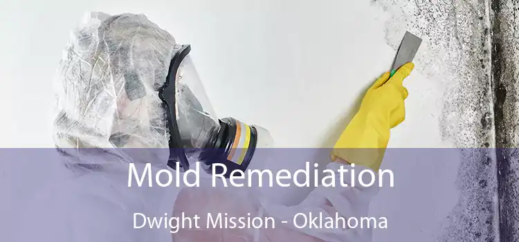 Mold Remediation Dwight Mission - Oklahoma