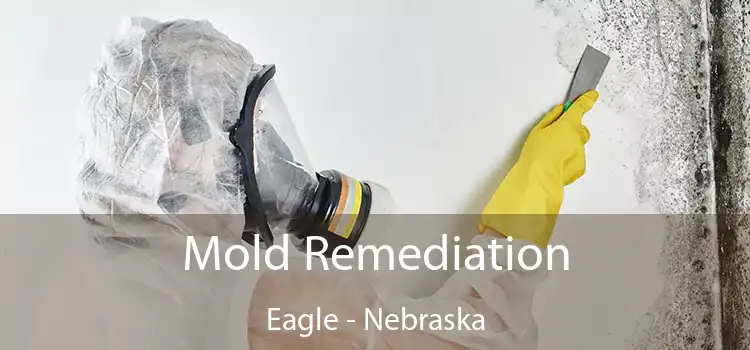 Mold Remediation Eagle - Nebraska