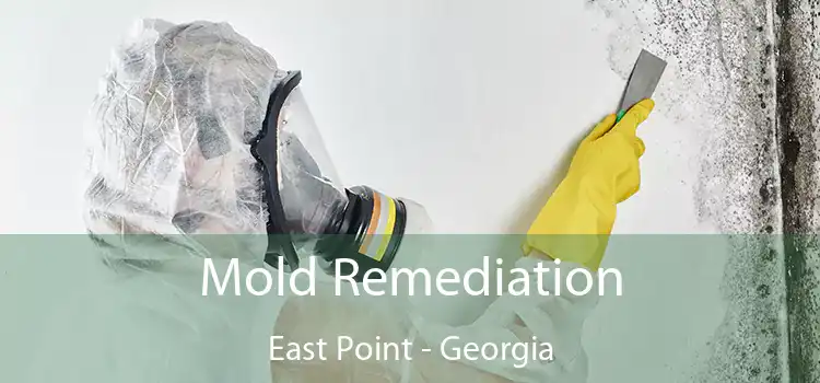 Mold Remediation East Point - Georgia