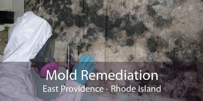 Mold Remediation East Providence - Rhode Island