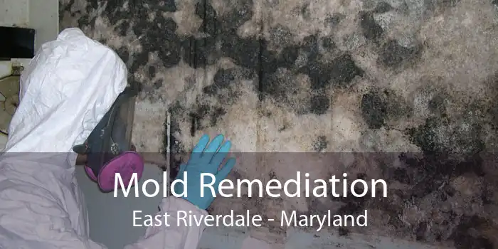 Mold Remediation East Riverdale - Maryland