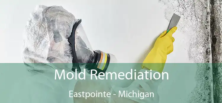 Mold Remediation Eastpointe - Michigan