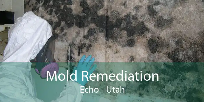 Mold Remediation Echo - Utah