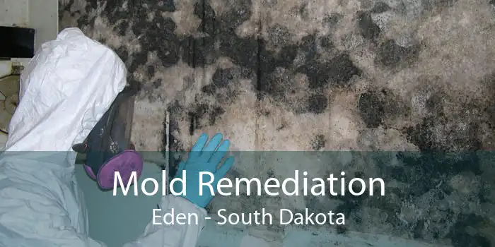 Mold Remediation Eden - South Dakota