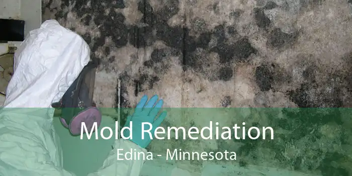 Mold Remediation Edina - Minnesota