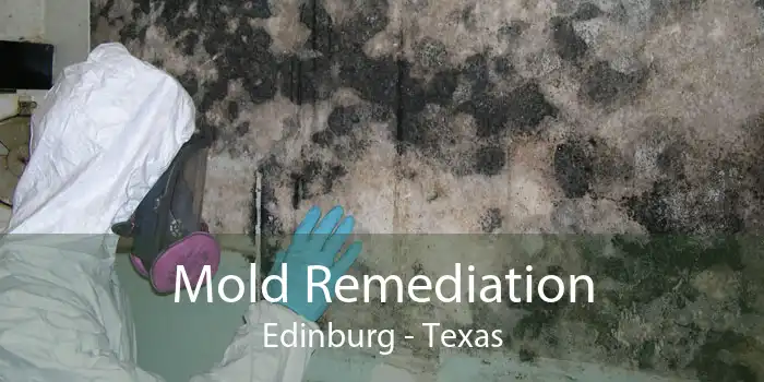 Mold Remediation Edinburg - Texas